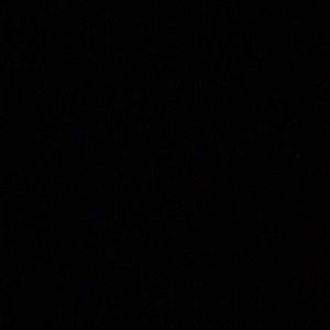 Meet your Posher, Frances